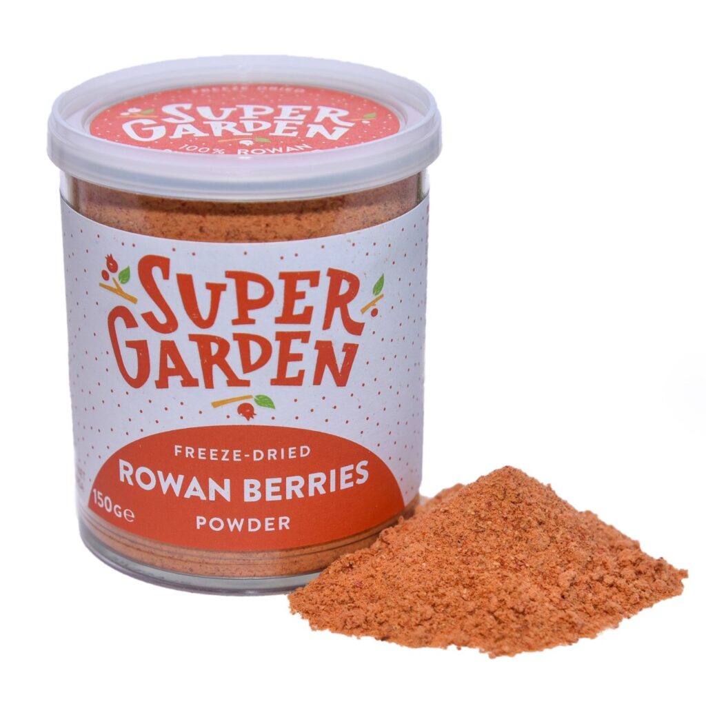 Freeze-dried rowan powder