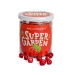 Freeze-dried red currants