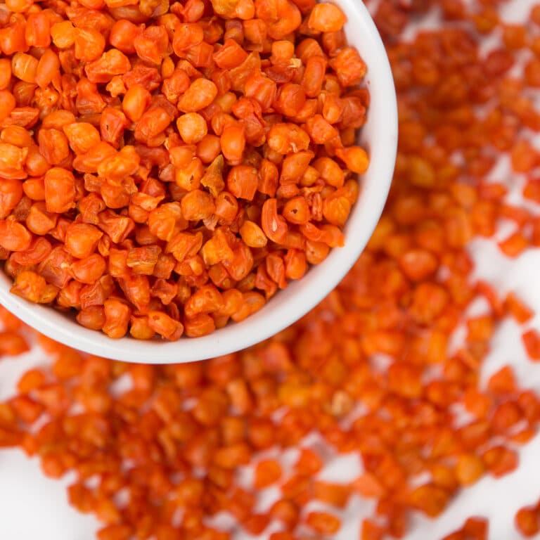 Freeze-dried carrot granules sample