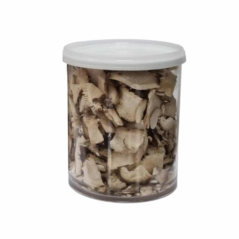 Külmkuivatatud shiitake seened